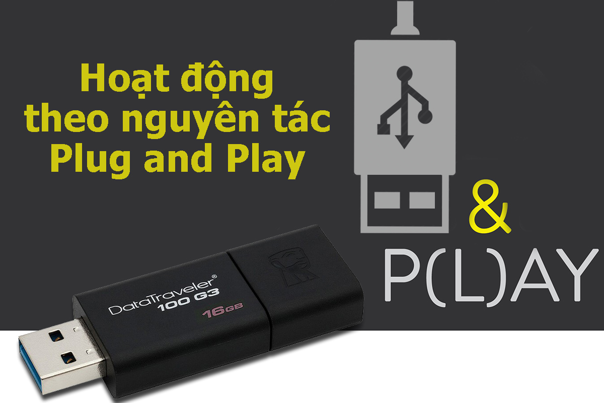 USB Kingston DT100G3 16Gb