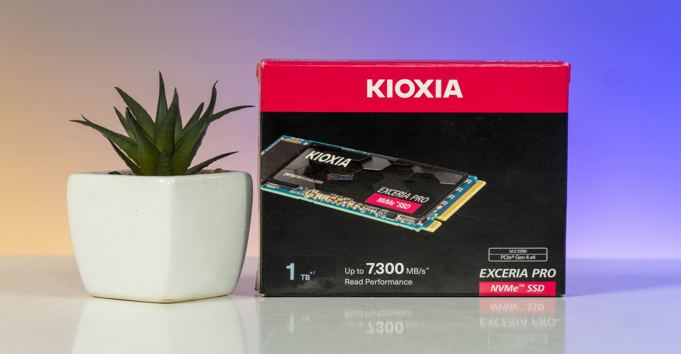 đánh giá SSD KIOXIA EXCERIA PRO