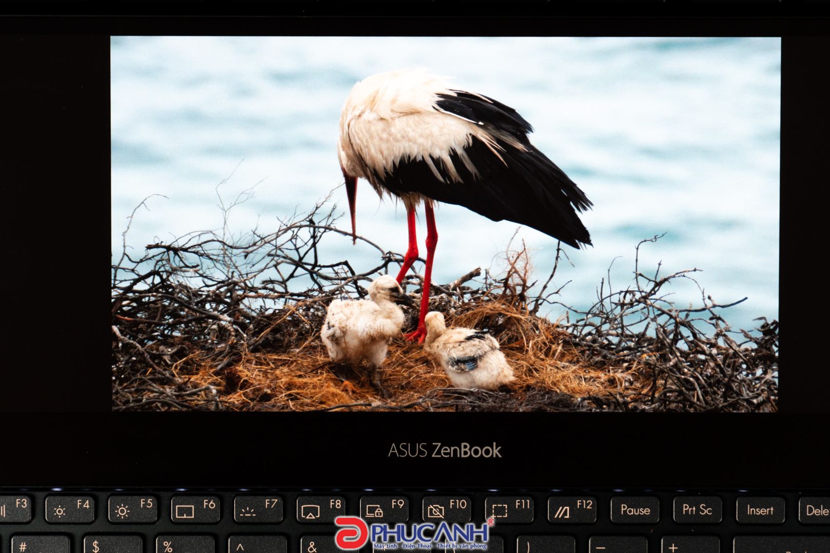 màn hình Asus Zenbook UX581GV-H2029 