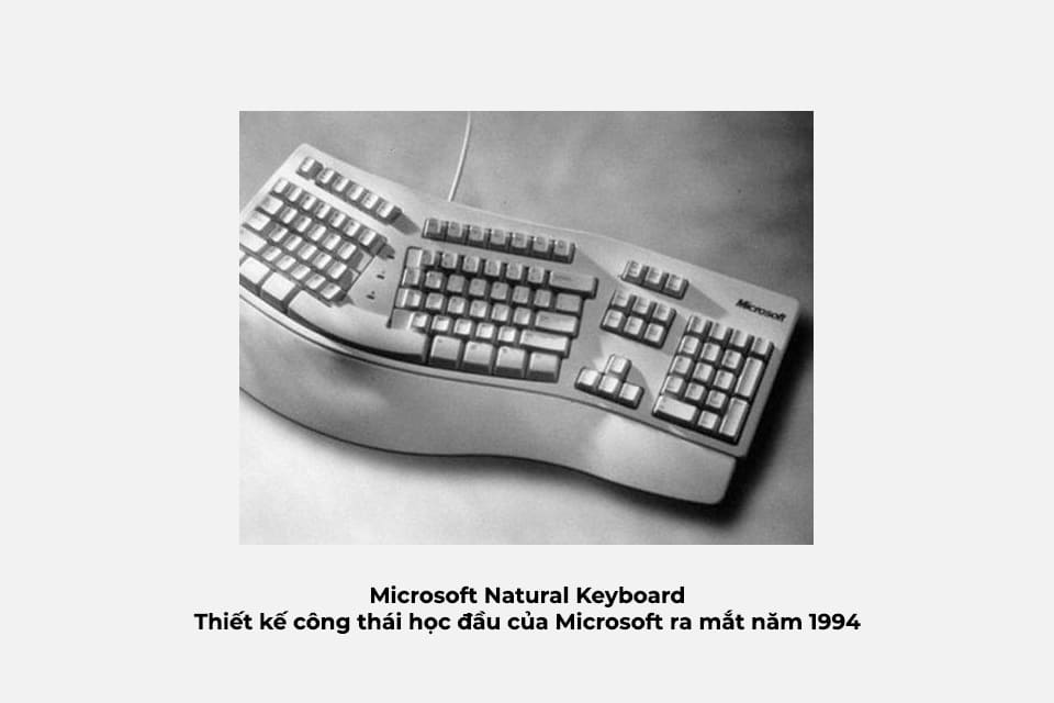 chuột Microsoft Ergonomic