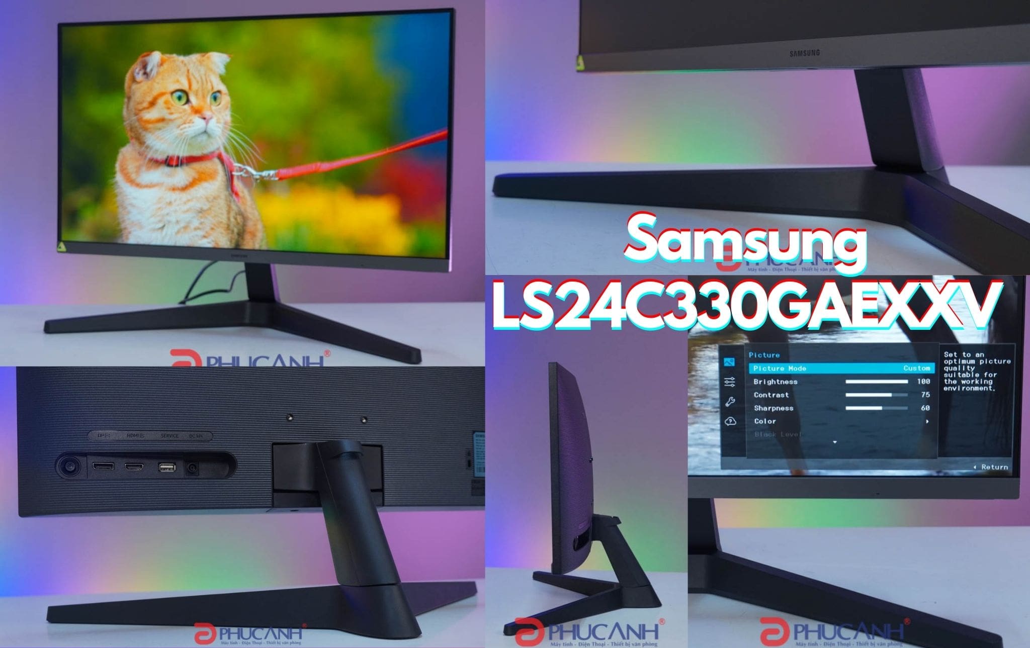 màn hình Samsung LS24C310EAEXXV 