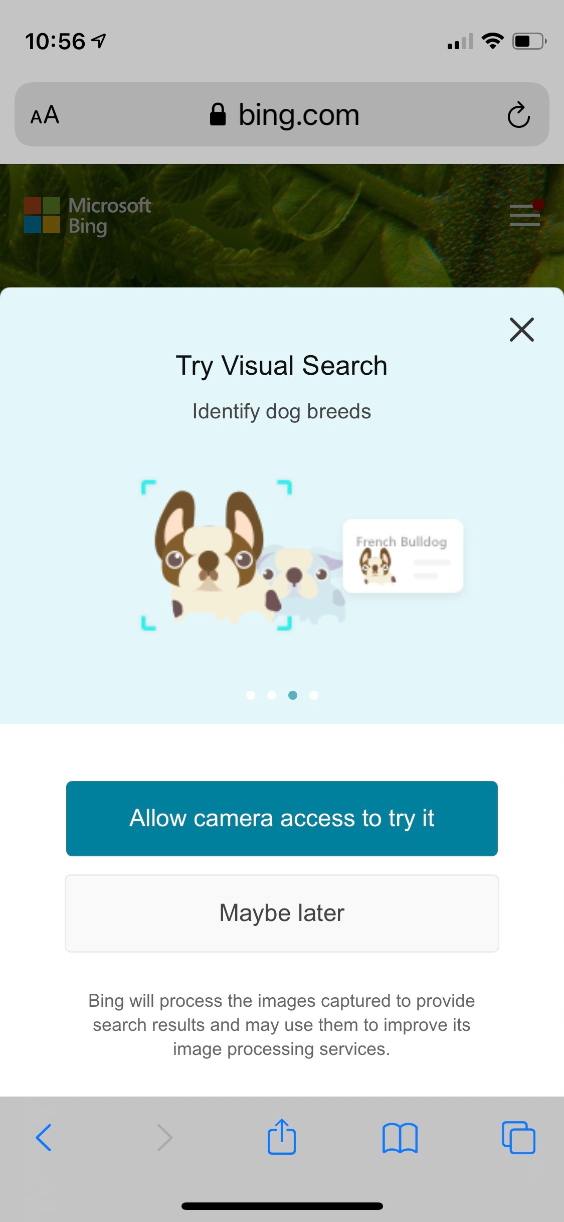 Cách tìm kiếm ngược bằng hình ảnh trên Bing