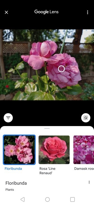 Cách tìm kiếm ngược bằng hình ảnh bằng Google Lens