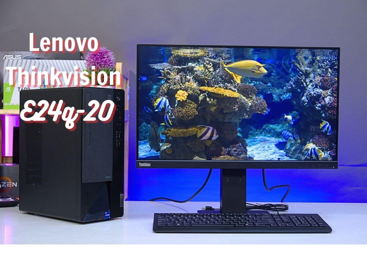 Review Lenovo Think Vision E24Q-20